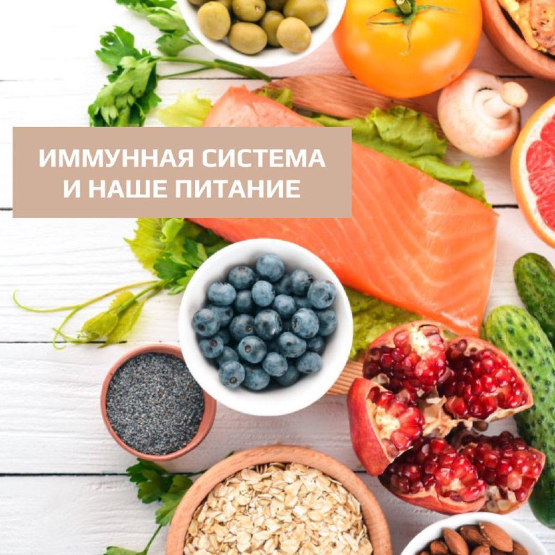 ИММУННАЯ СИСТЕМА И НАШЕ ПИТАНИЕ⁣⁣⠀⁣⁣⠀⁣⁣⠀⁣⁣⠀