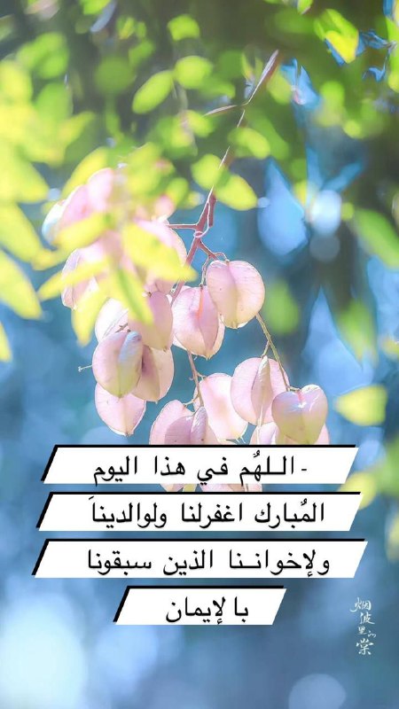 اروع القلوب 💛 🌷