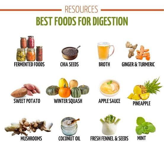 Healthy Habits for Better Digestion ***🍽️***