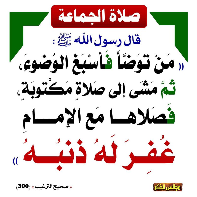 🍃إسلام سؤال وجواب🍃