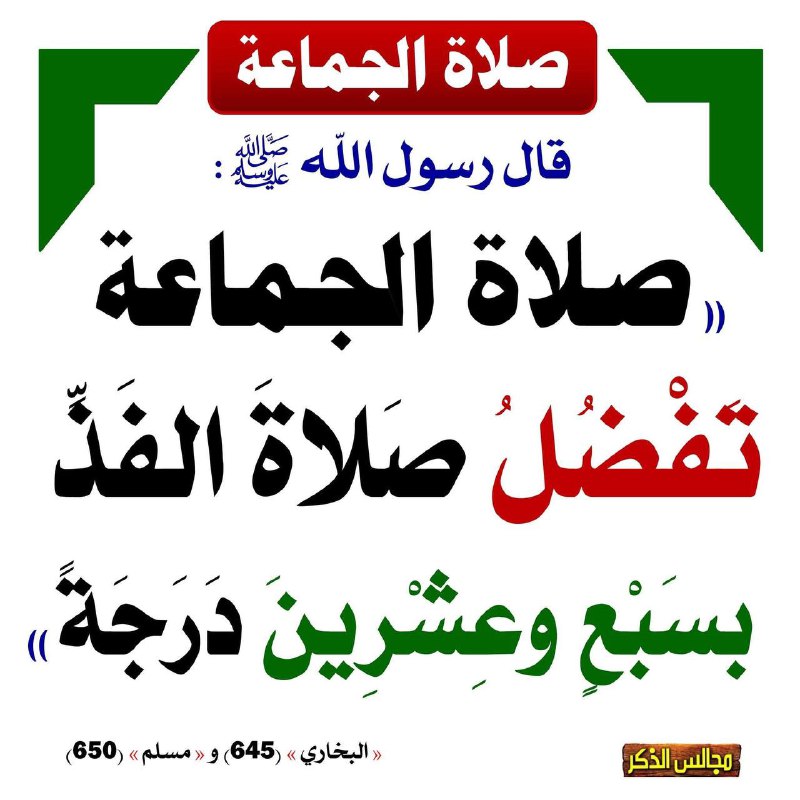 🍃إسلام سؤال وجواب🍃