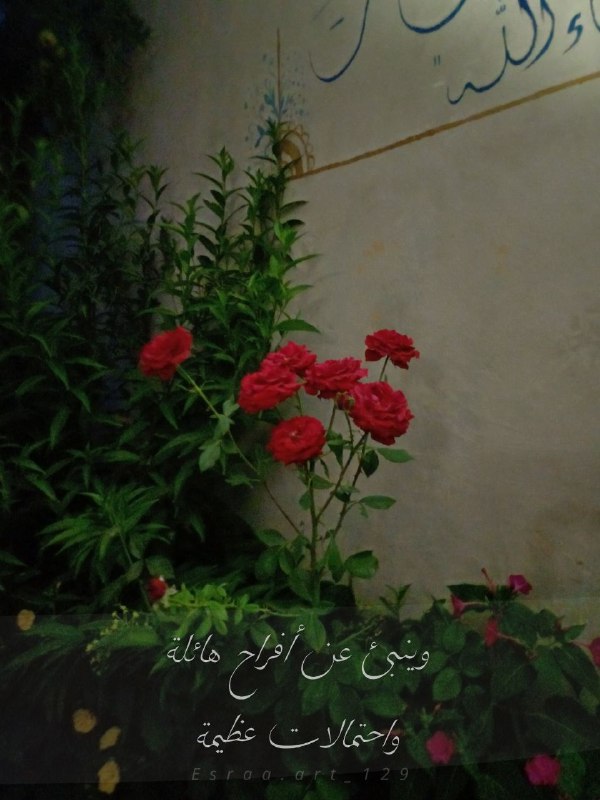 حبرٌ وحياة 🌺🌿