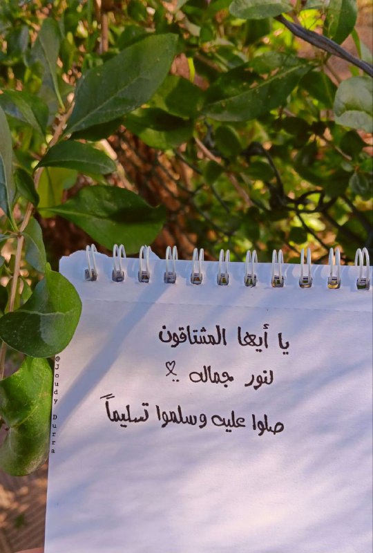 ‏﴿إِنَّ اللَّهَ وَمَلَائِكَتَهُ يُصَلُّونَ عَلَى النَّبِيِّ …
