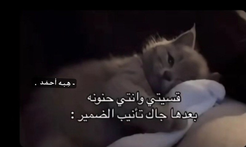 - I'm Just a حَنُونه , …
