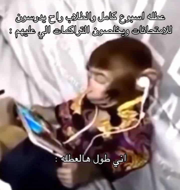 **أني بعُطلة التعداد السُكاني :**