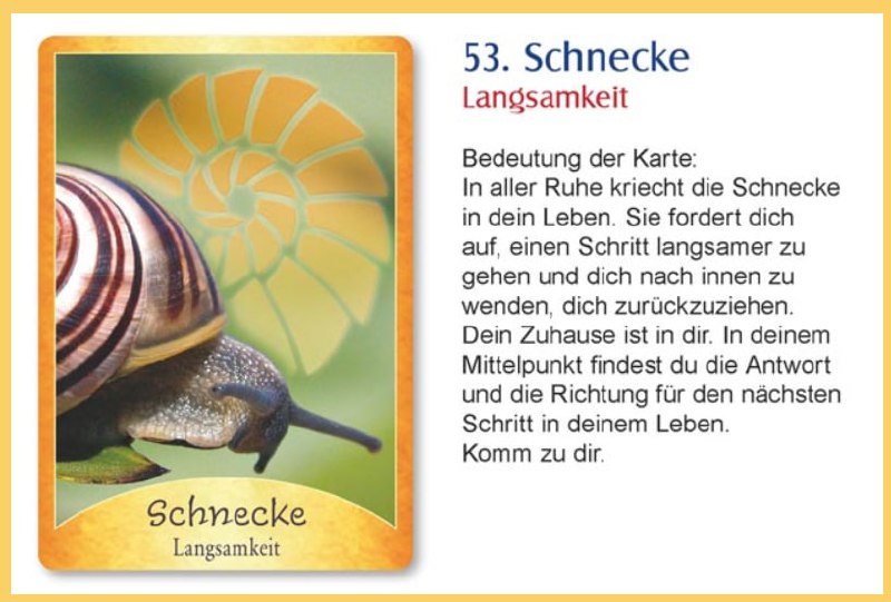 **53**. **Schnecke**Langsamkeit