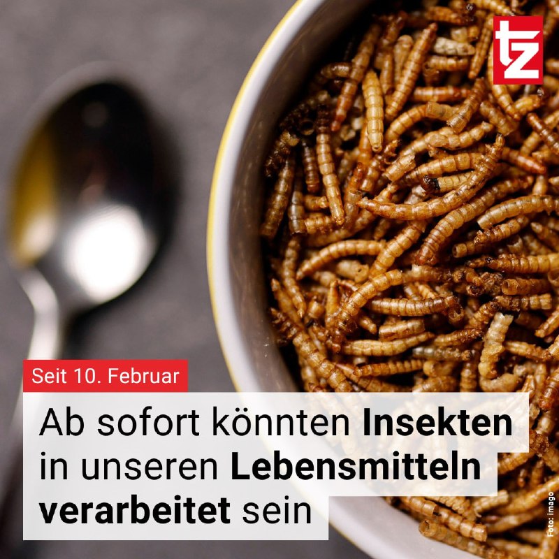 Egal ob Brot, Kuchen oder Teigwarenprodukte, …