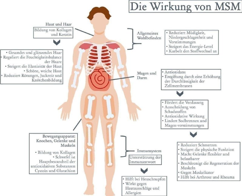 Die Abkürzung MSM steht für Methyl …