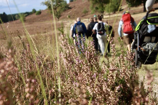 **Wanderung in der Lüneburger Heide**