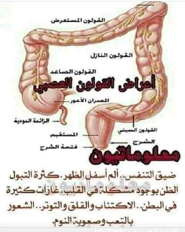 طب الإسلامي