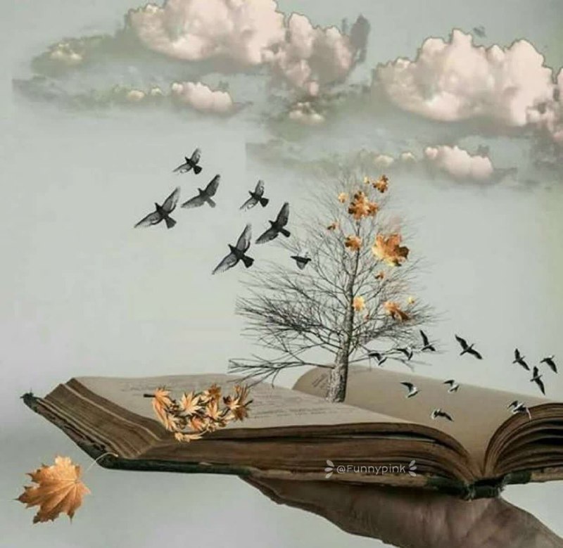 لا تمنح الحياة دروساً مجانية لأحد …