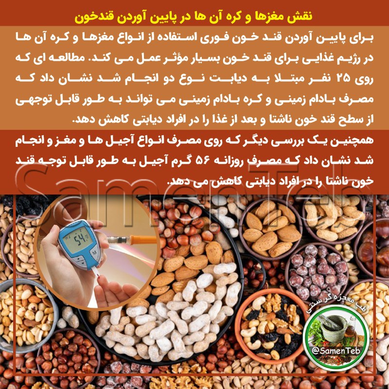 نقش مغزها و کره آن ها …