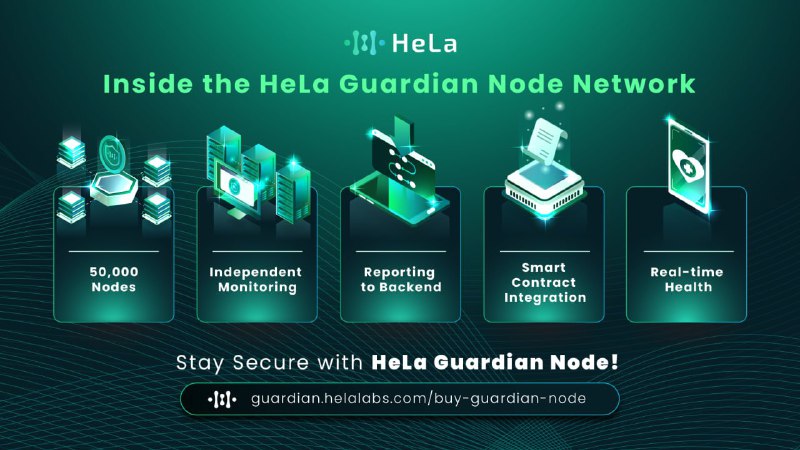 How Does the Hela Guardian Node …