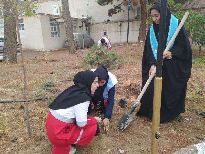 کانون هلال احمر دانشگاه تربت حیدریه