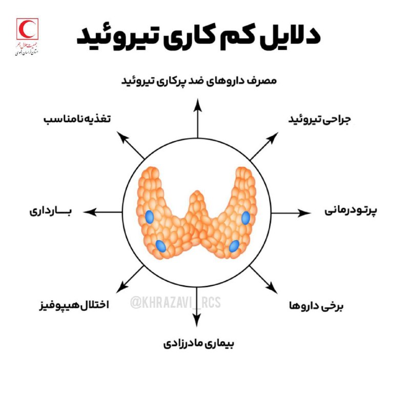 کانون هلال احمر دانشگاه گناباد