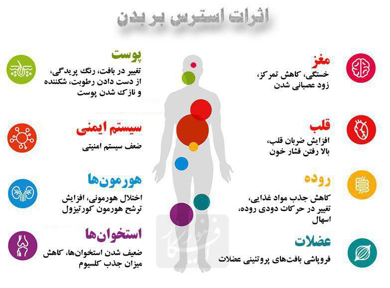 ***⭕️******⭕️*** کاری که استرس با بدن …