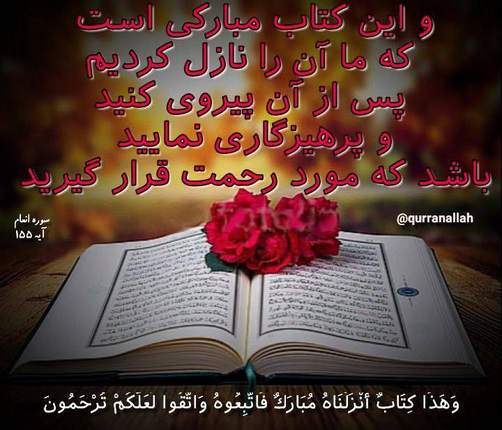 امام علی(ع):