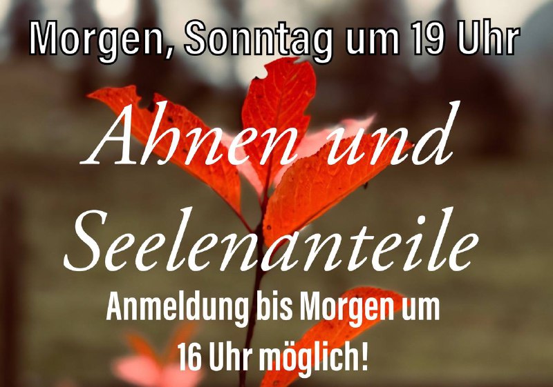 Einfach bis Morgen 16 Uhr eine …