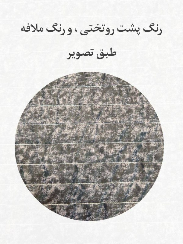 همکاری روتختی حلما