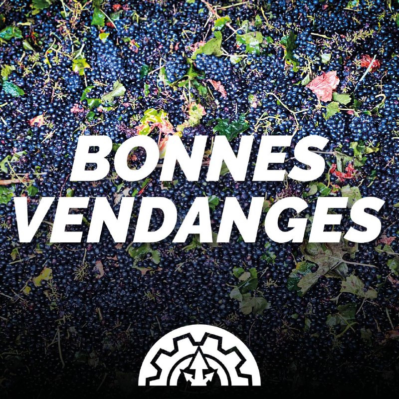 ***🍇*** Bonnes vendanges à tous les …