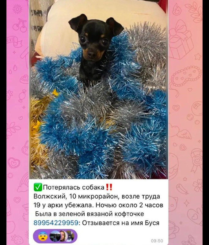 ПОТЕРЯШКИ,Волгоградская область 🐾