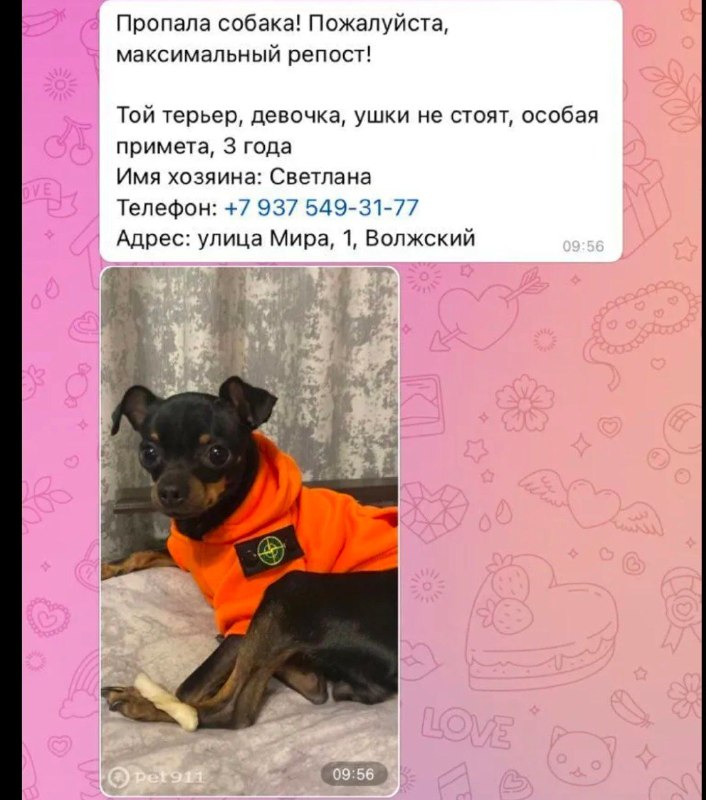 ПОТЕРЯШКИ,Волгоградская область 🐾