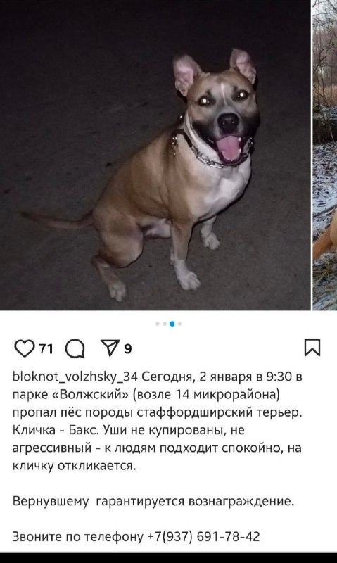 ПОТЕРЯШКИ,Волгоградская область 🐾