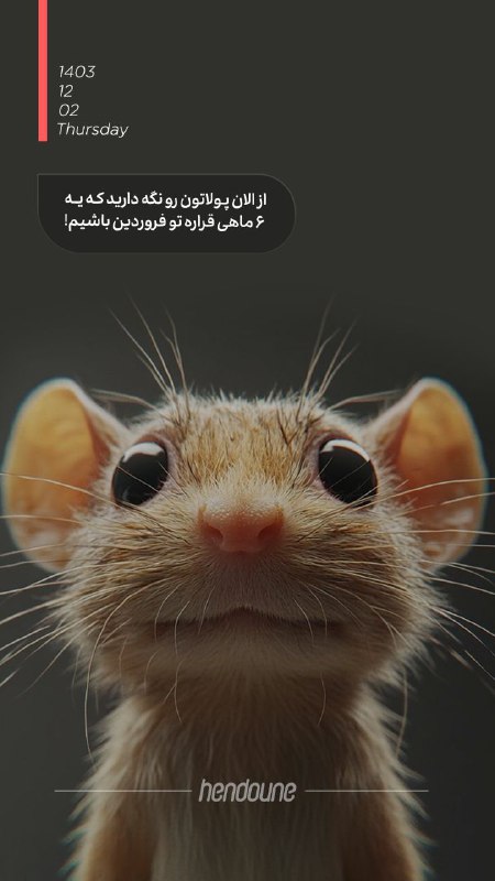 ***🤷******🤷******😂******😂***