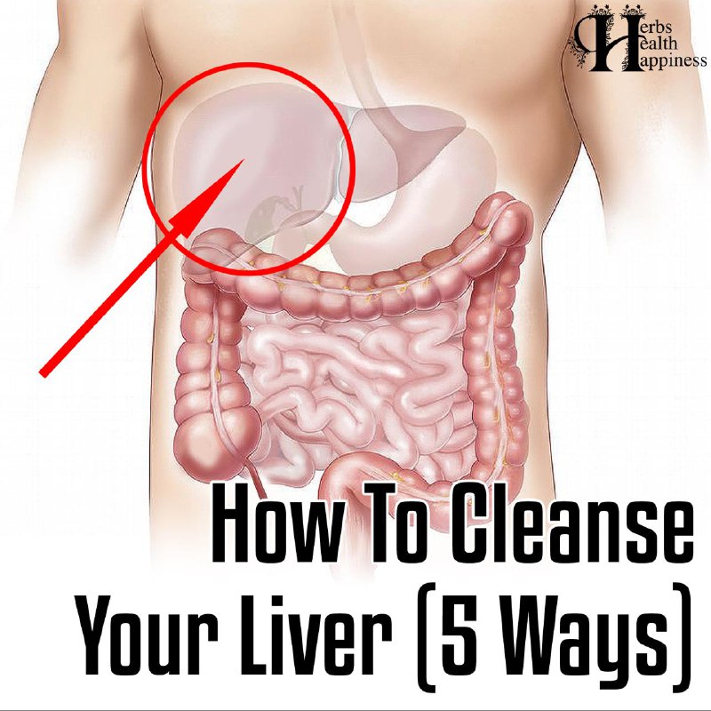 How To Cleanse Your Liver (5 …