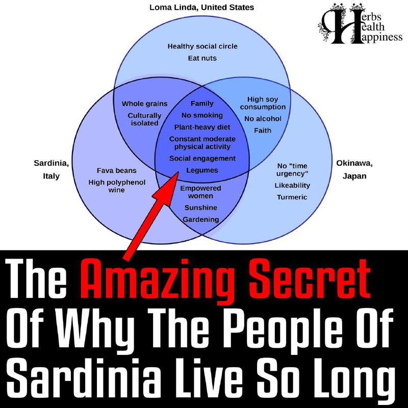 The Amazing Secret Behind Why The …