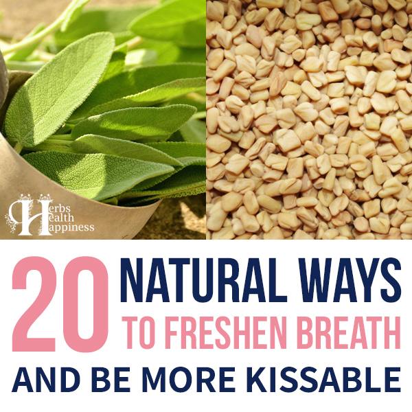 20 Natural Ways To Freshen Breath …