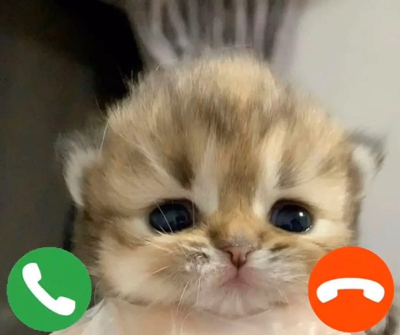Incoming call