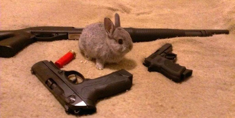 𝙐𝙣𝙘𝙡𝙚 𝙃𝙚𝙧𝙢𝙖𝙣'𝙨 𝙈𝙚𝙢𝙚 𝘾𝙚𝙨𝙨𝙥𝙞𝙩