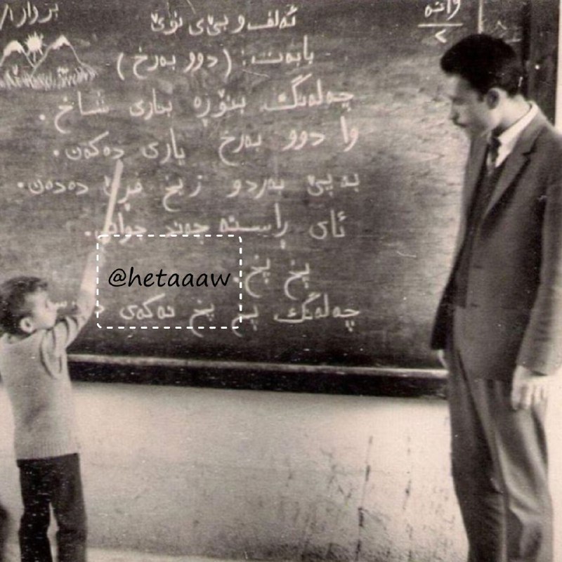 زمانی هەموو دونیا بزانی زمانی خۆت …