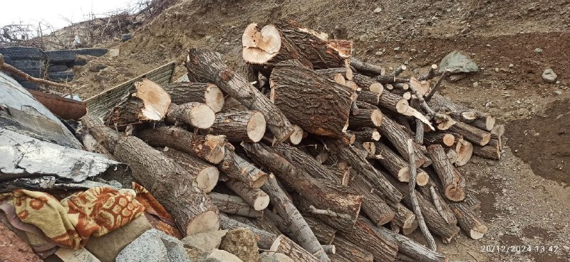 کشف و ضبط ۴ تن چوب …