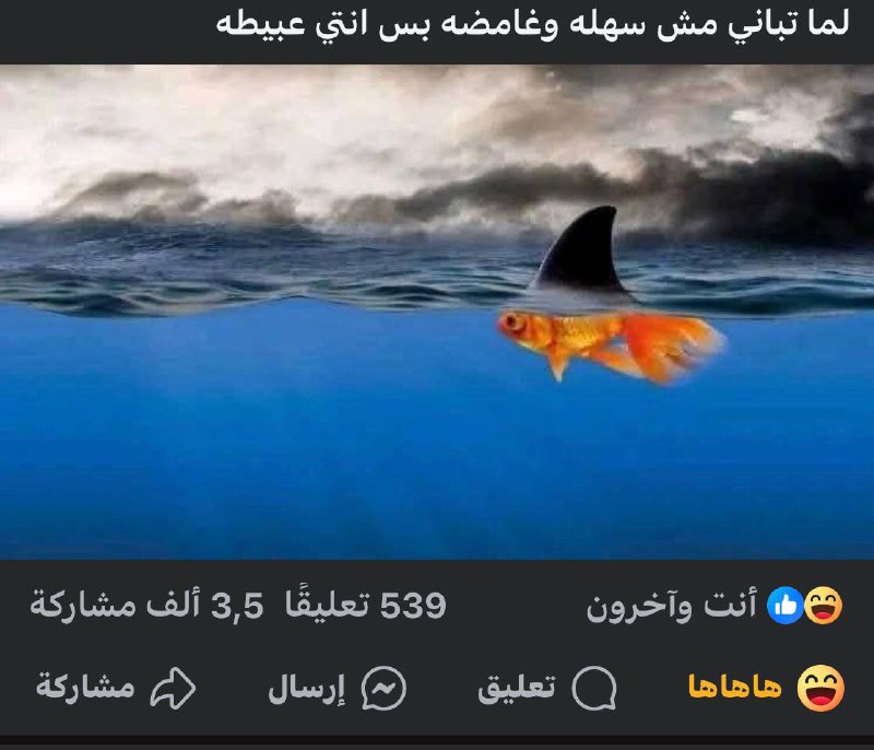 00:00