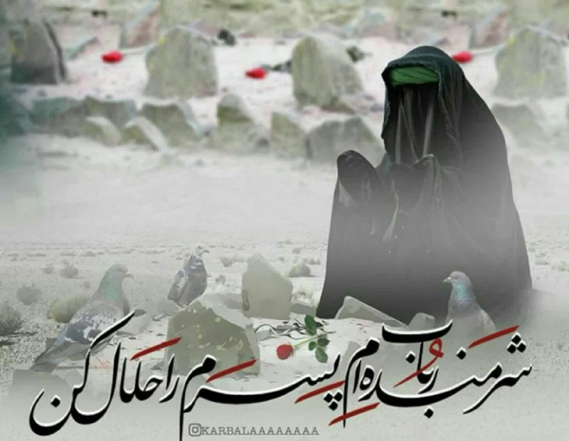 ***?***دیدار بانو حضرت البنین(س) باحضرت زینب(س) …