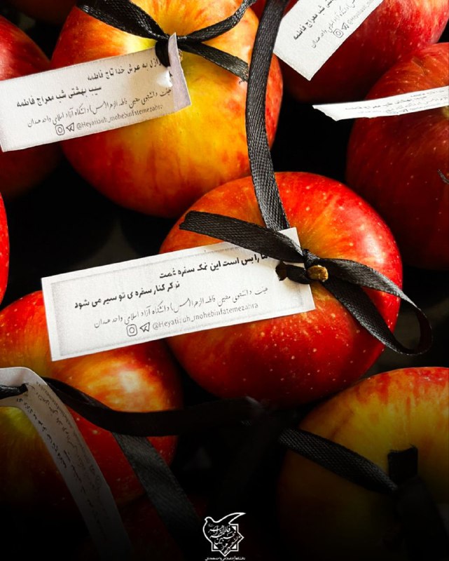 هیئت محبین فاطمه زهرا س ( …