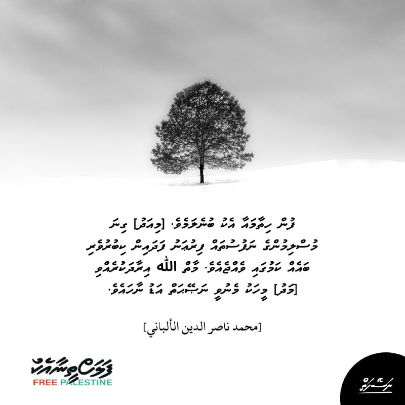 ފުން ހިތާމައާ އެކު ބުނެލަމެވެ. [މިއަދު] ގިނަ …