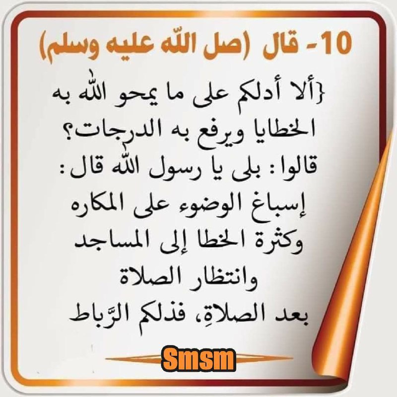 قلبي اطمأن🕊 اللهم غزه 🇵🇸