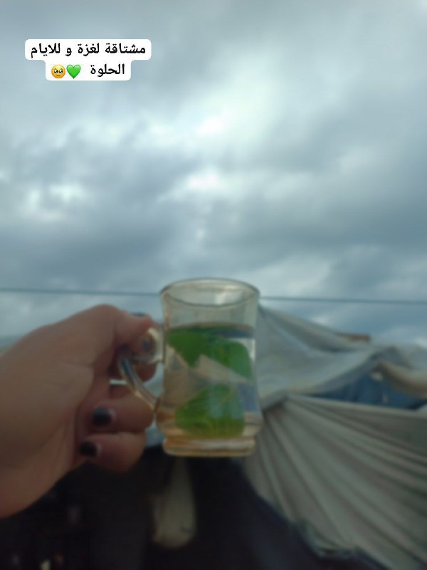 نبض