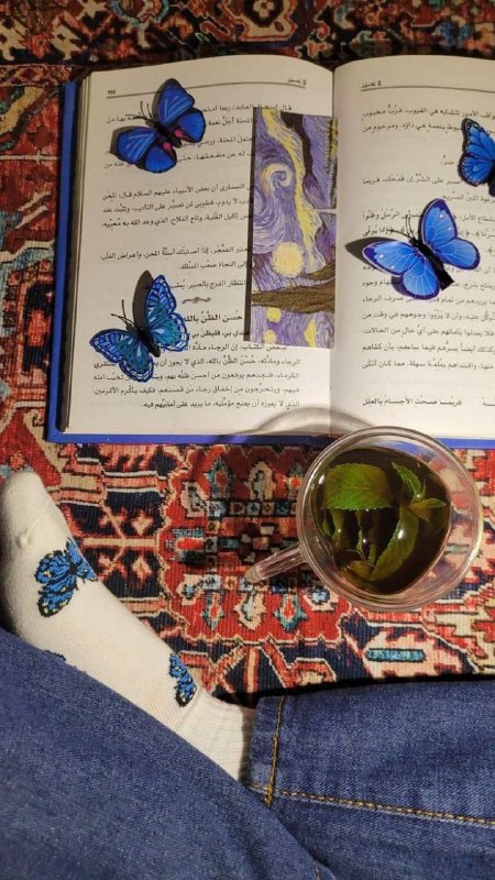 نبض