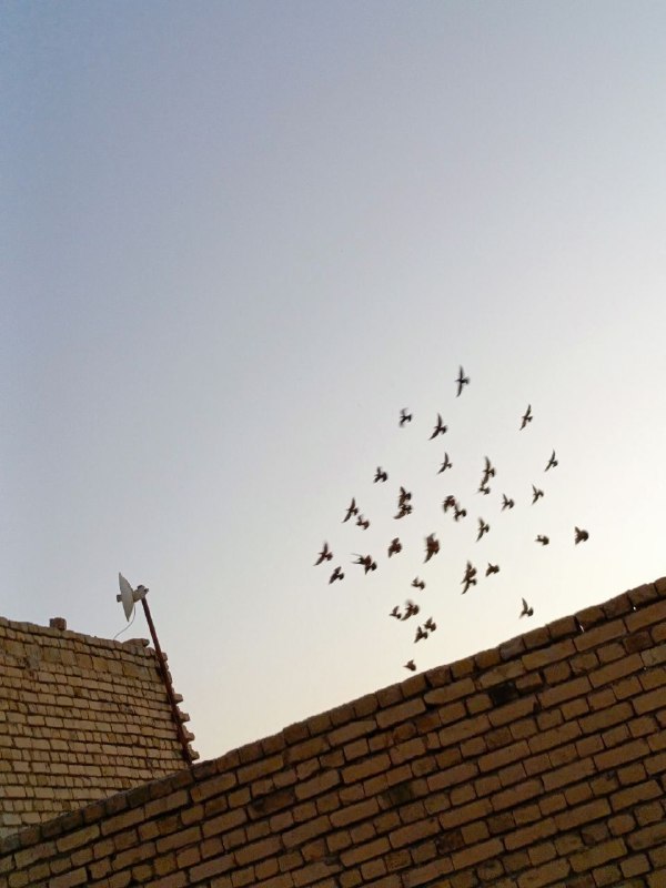 ‏ولأنك طيب سينقذك الله دائما.