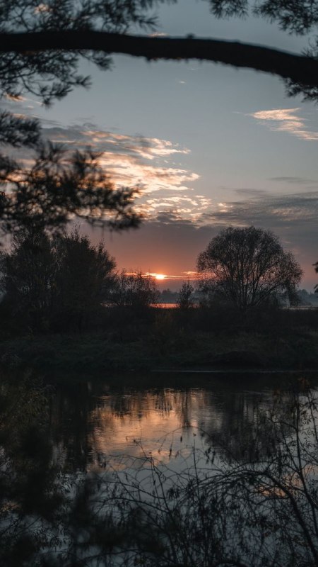 У чорта на рогах