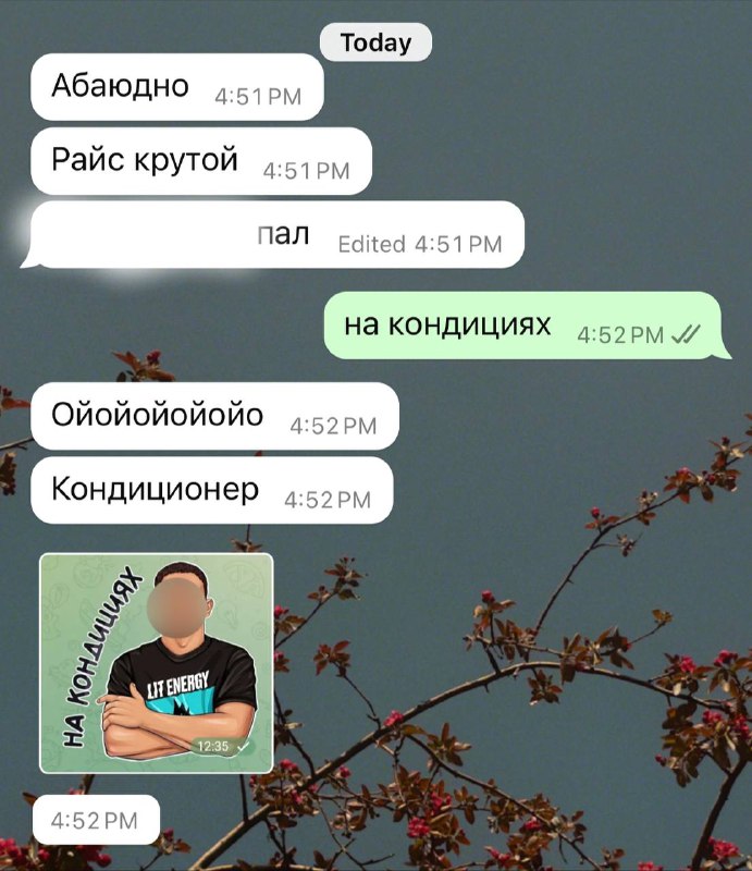 раяни студент вуй гуш ду