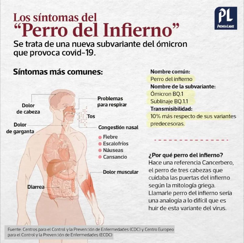 De verdad esto es infumable se …