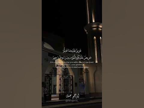القناة الرسمية للقارئ | إبراهيم جميل.