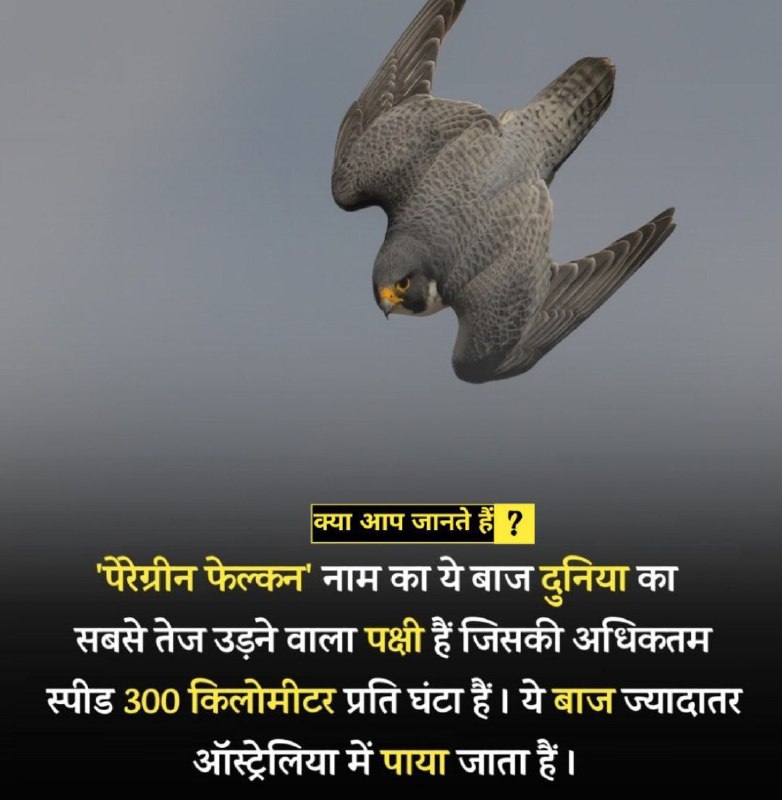 Hindi Facts?