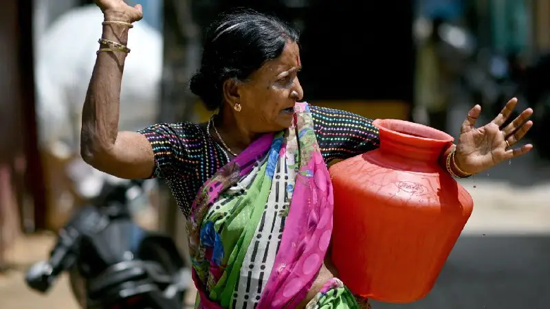 The water crisis in Bengaluru has affected not just the supply of drinking water but also had repercussions on irrigation