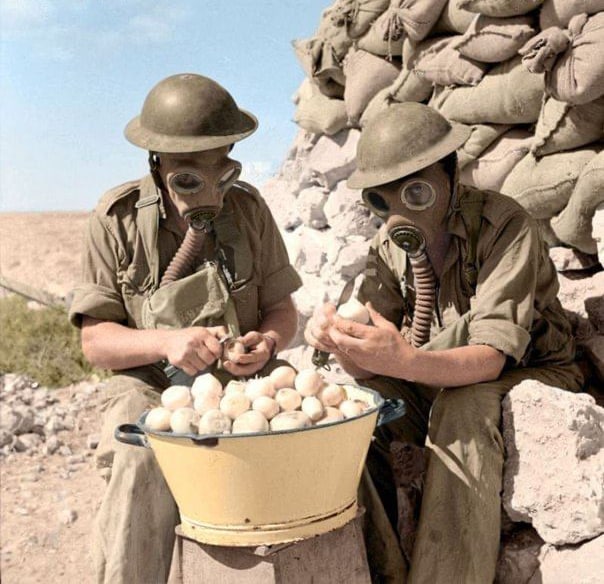 British Army soldiers cleaning onions in …